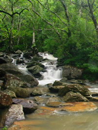 �s�Q��B�����צX    19.07.2004