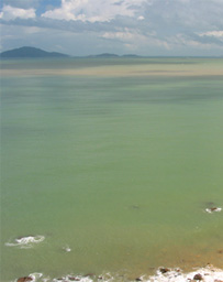 ���y�F�W  26.06.2005