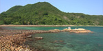 橋咀