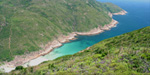 浪茄