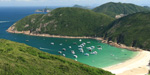 浪茄2 