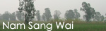 Nam Sang Wai