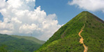 針山