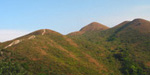 牛湖墩