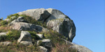 田下山