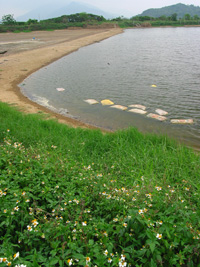 �C�A  25.04.2005