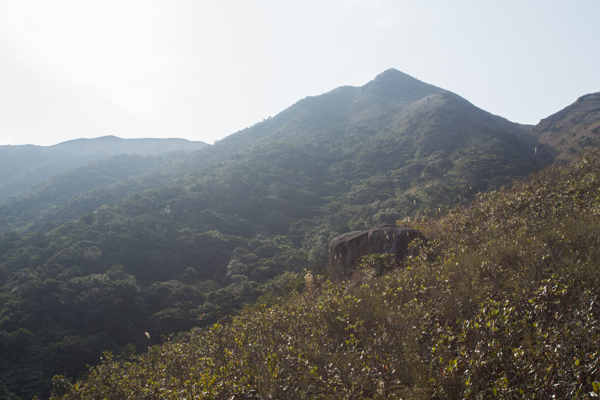 蓮花山