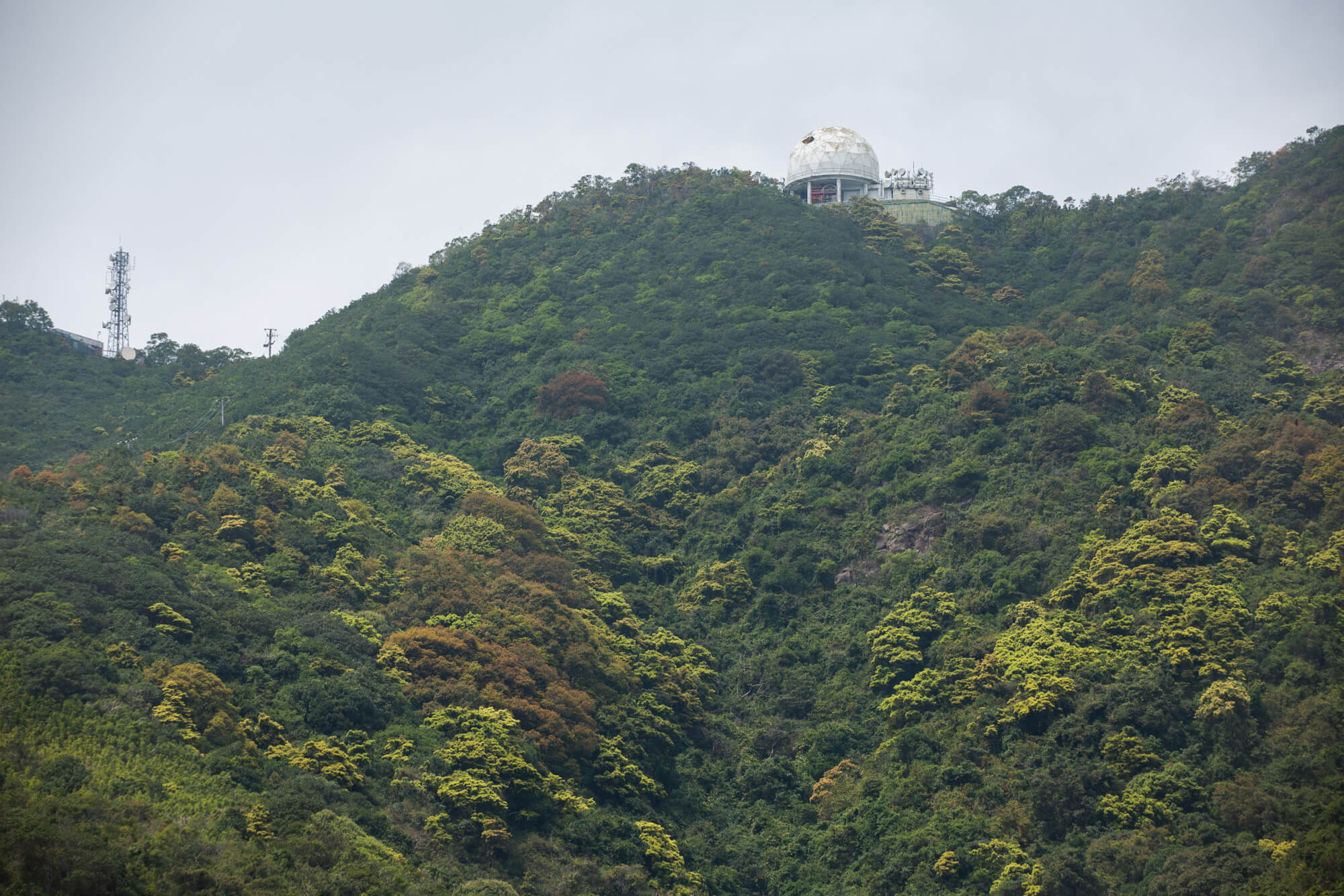 仰望畢架山