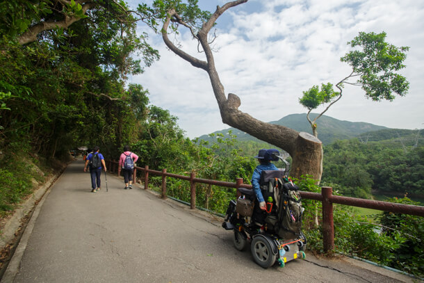 Ascend slightly along the forest road