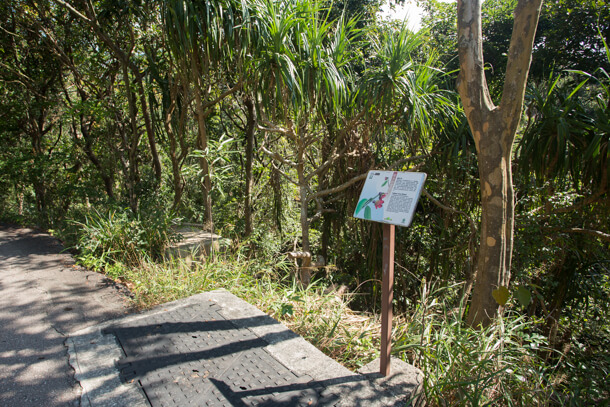 Interpretive signs about plants