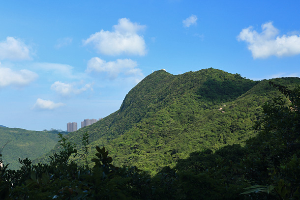 布力徑無障礙行山