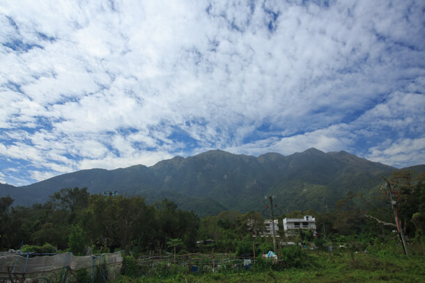 又見蓮花山