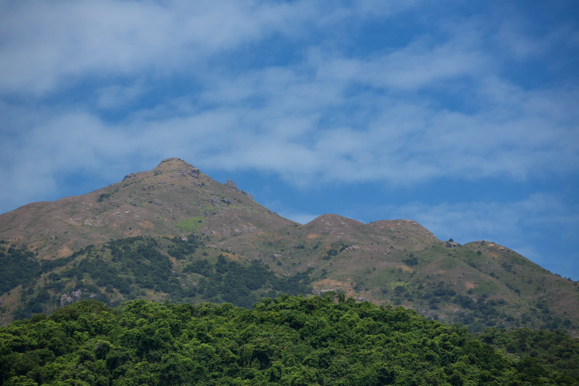 仰望蓮花山