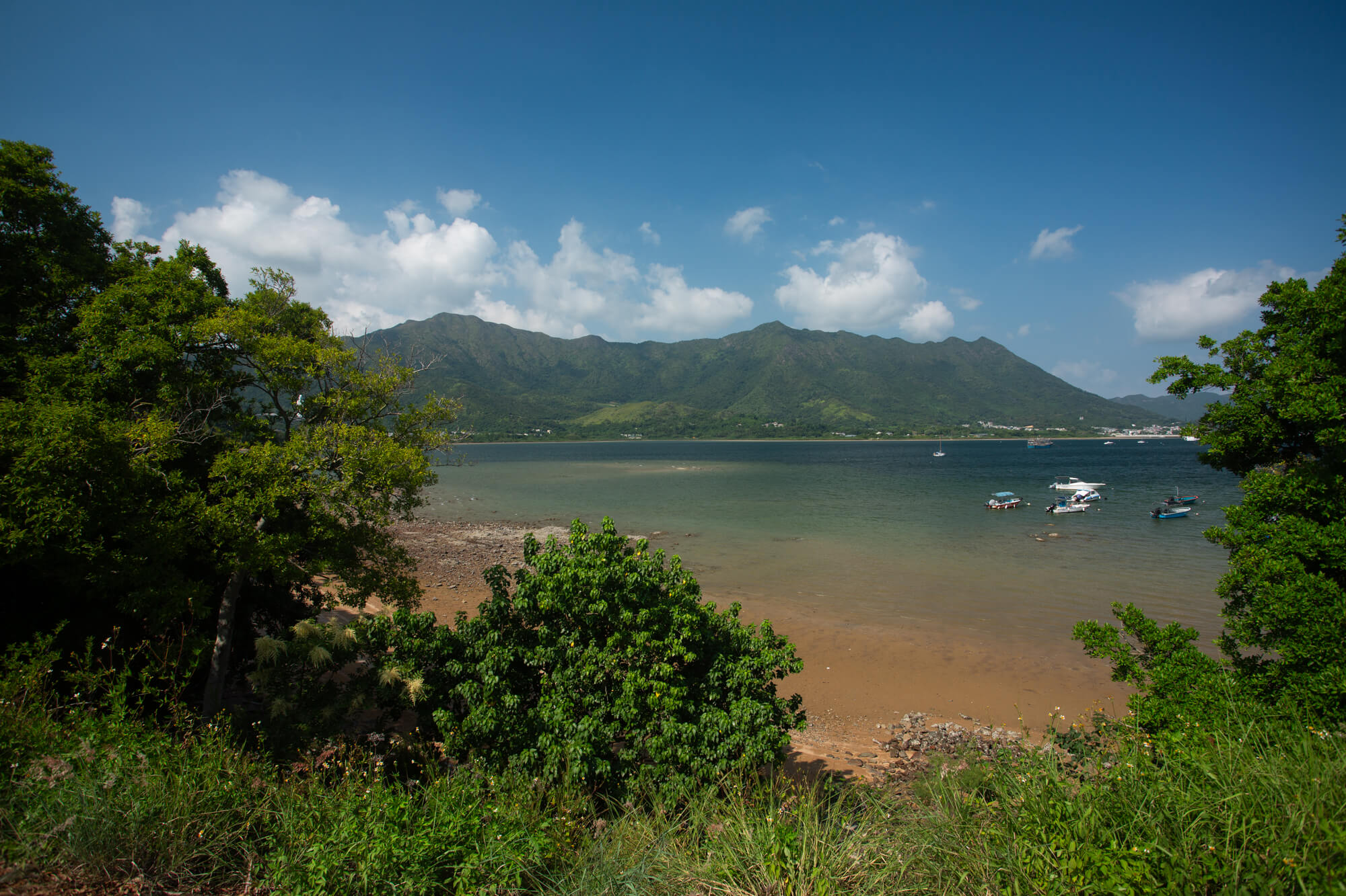 晴天下的風景