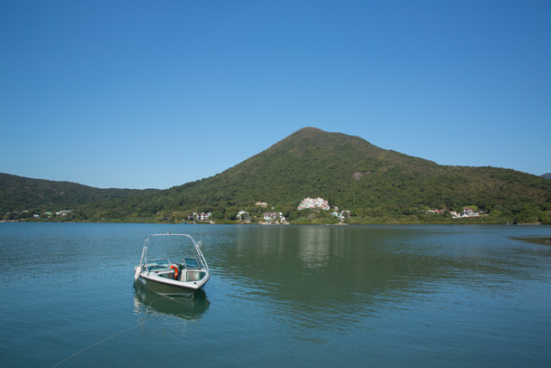 視野寬廣