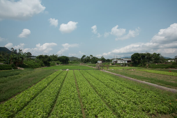 Farmland at Long Valley