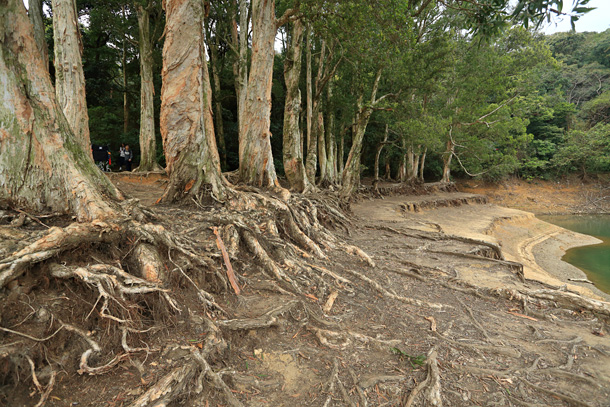 Reservoir bank