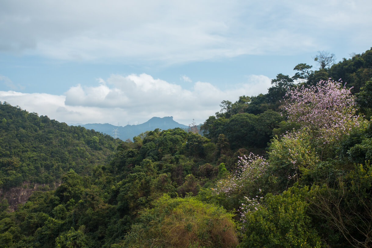 Shing Mun Reservoir Main Dam barrier-free trail