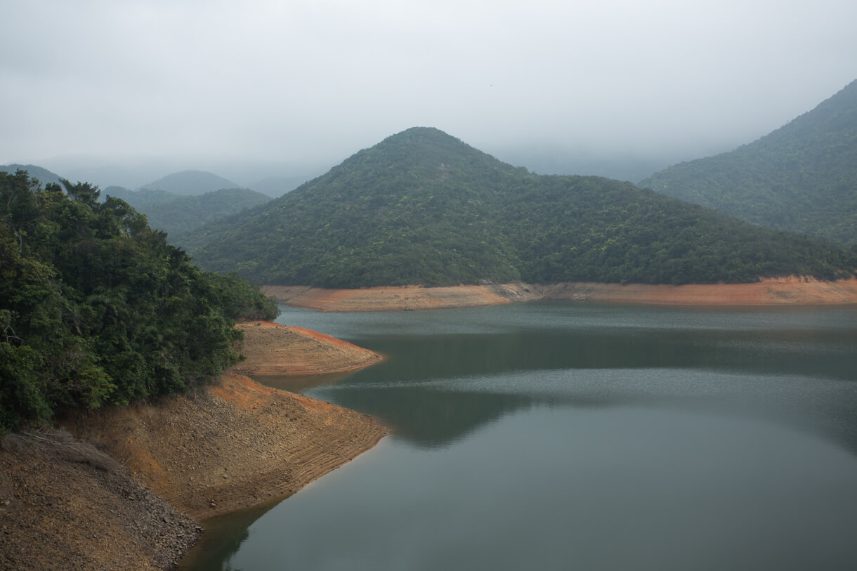 水塘一景