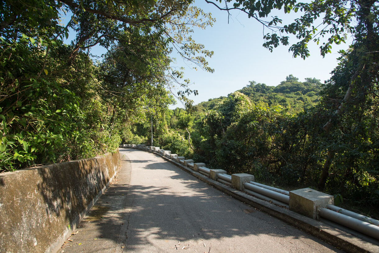 車道寬闊，但須小心車輛