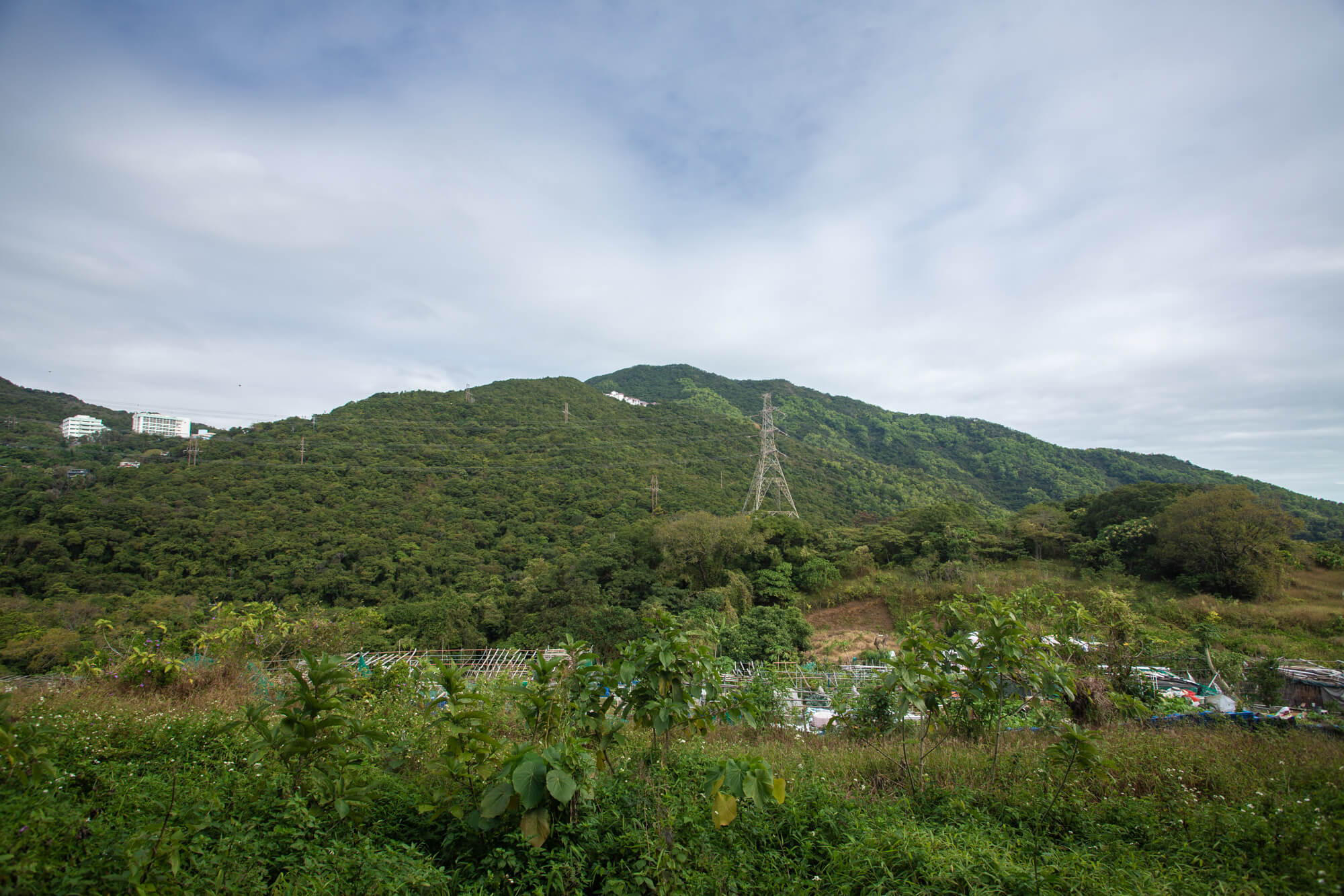 鷓鴣山