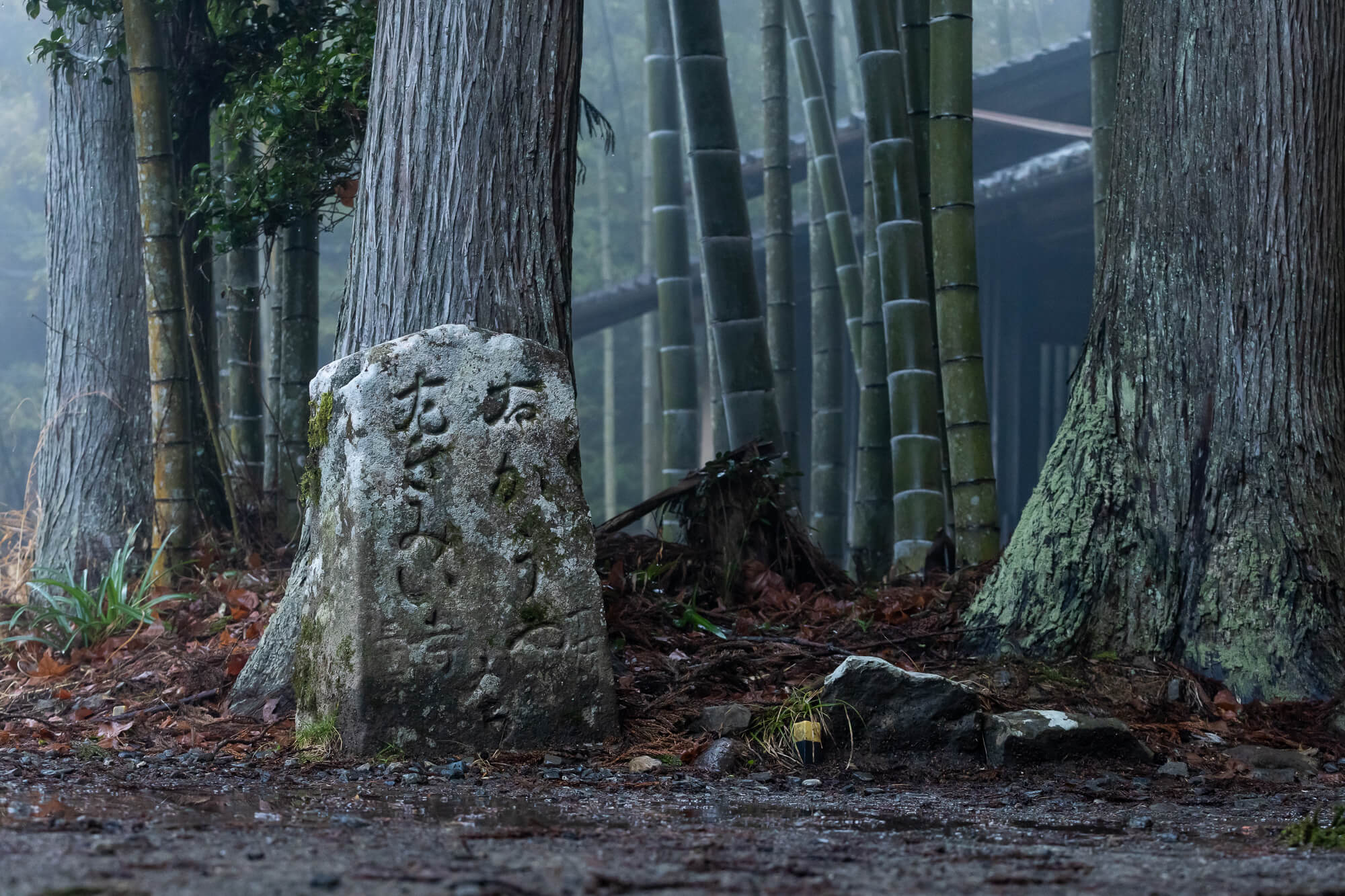 位在中邊路與小邊路的交會處