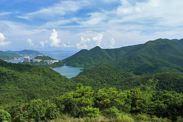 港島林道，真正的美景路段