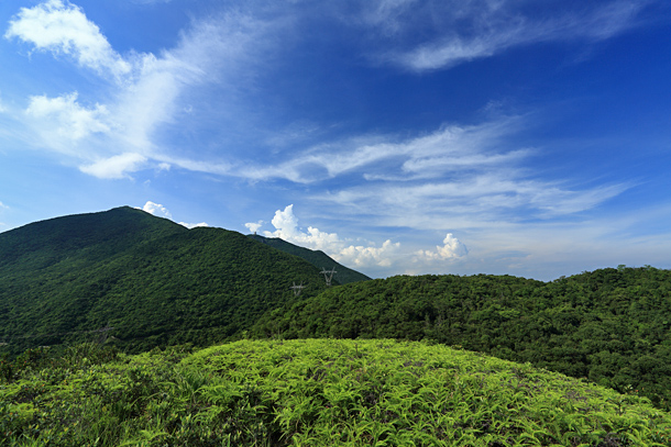 柏架山