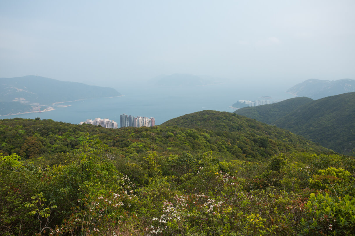 蓮花井山