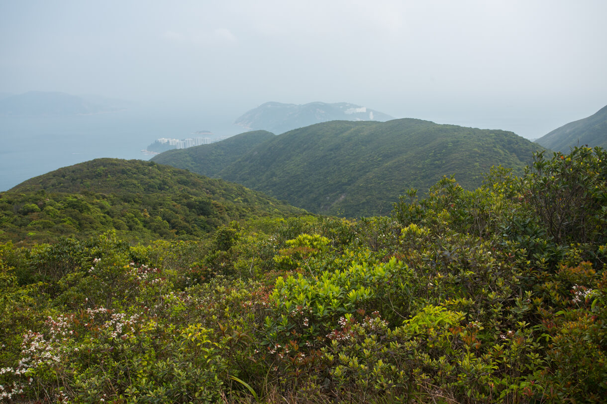 馬坑山