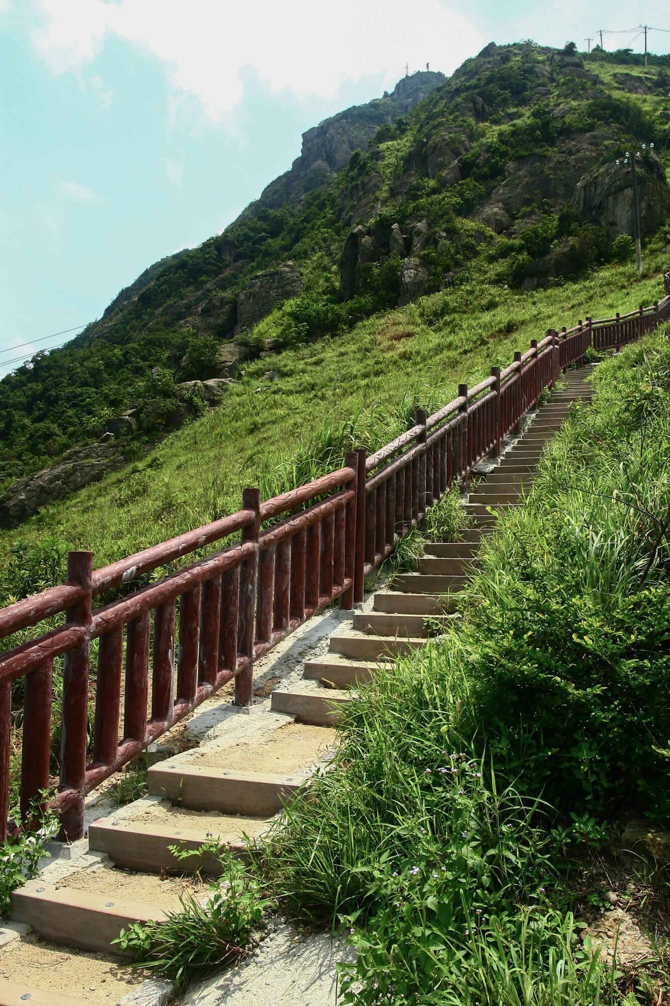 接近青山山頂