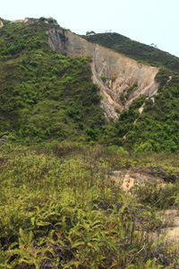 青山腹地