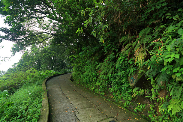 舊山頂道