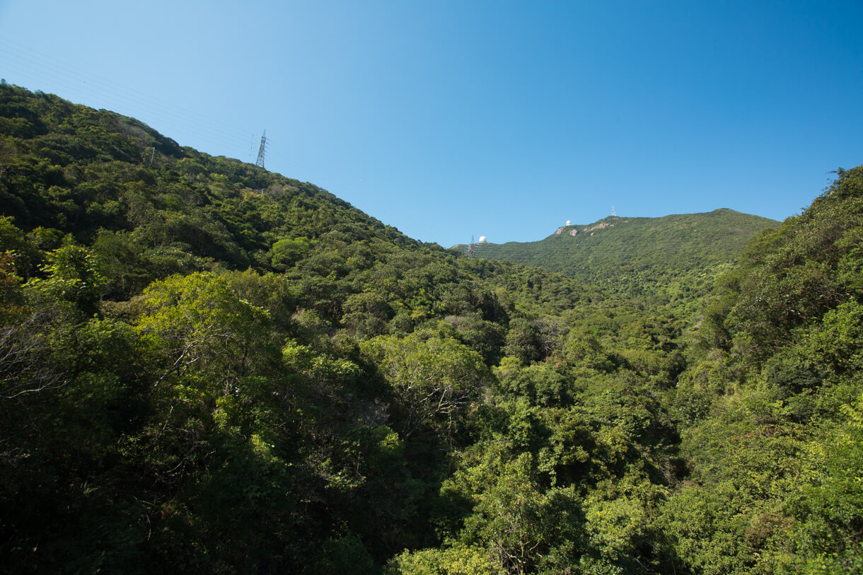 柏架山