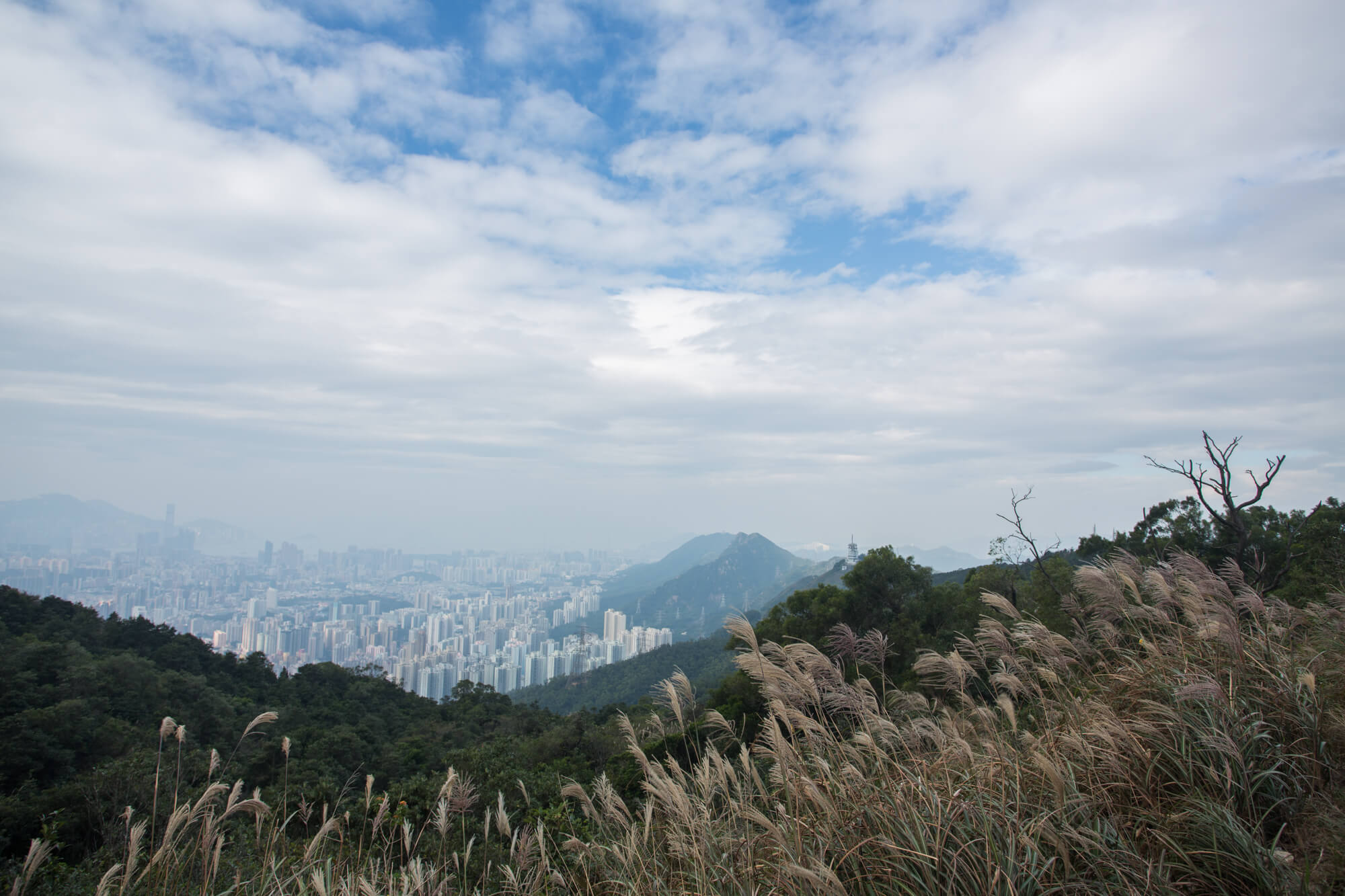 沿飛鵝山道上行