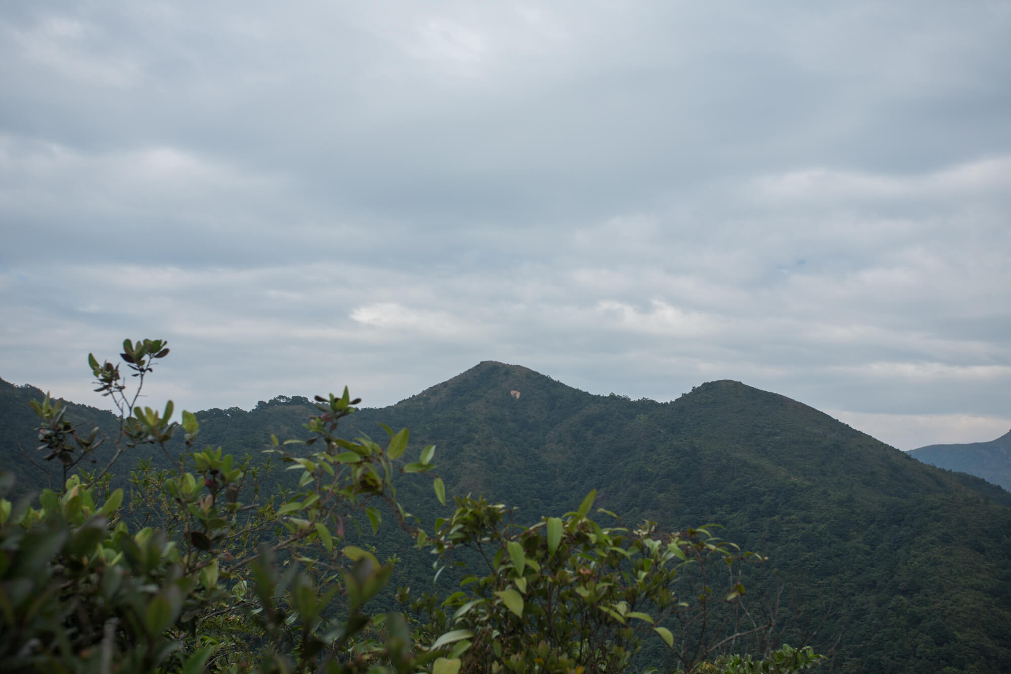 東山