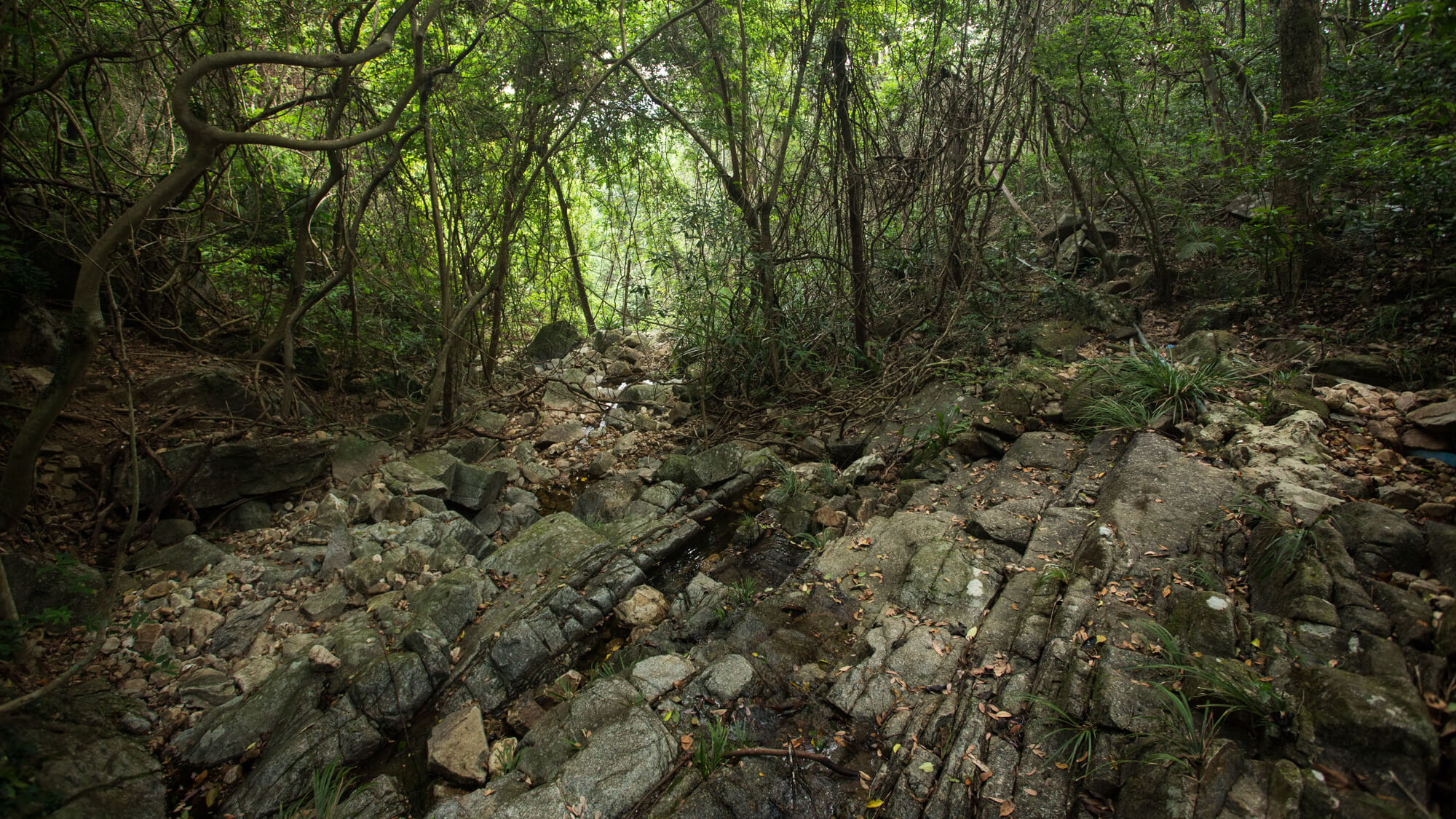 枕田山行山路線