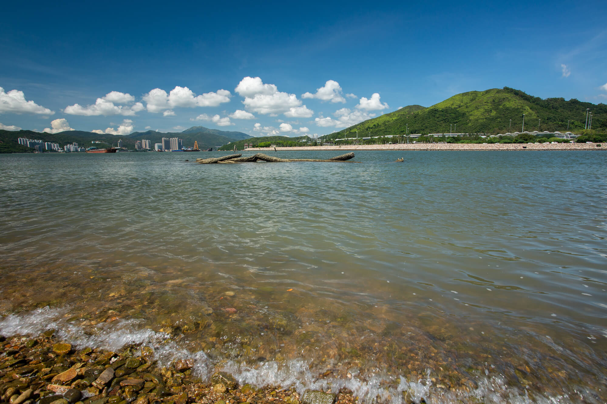 回到連島沙洲