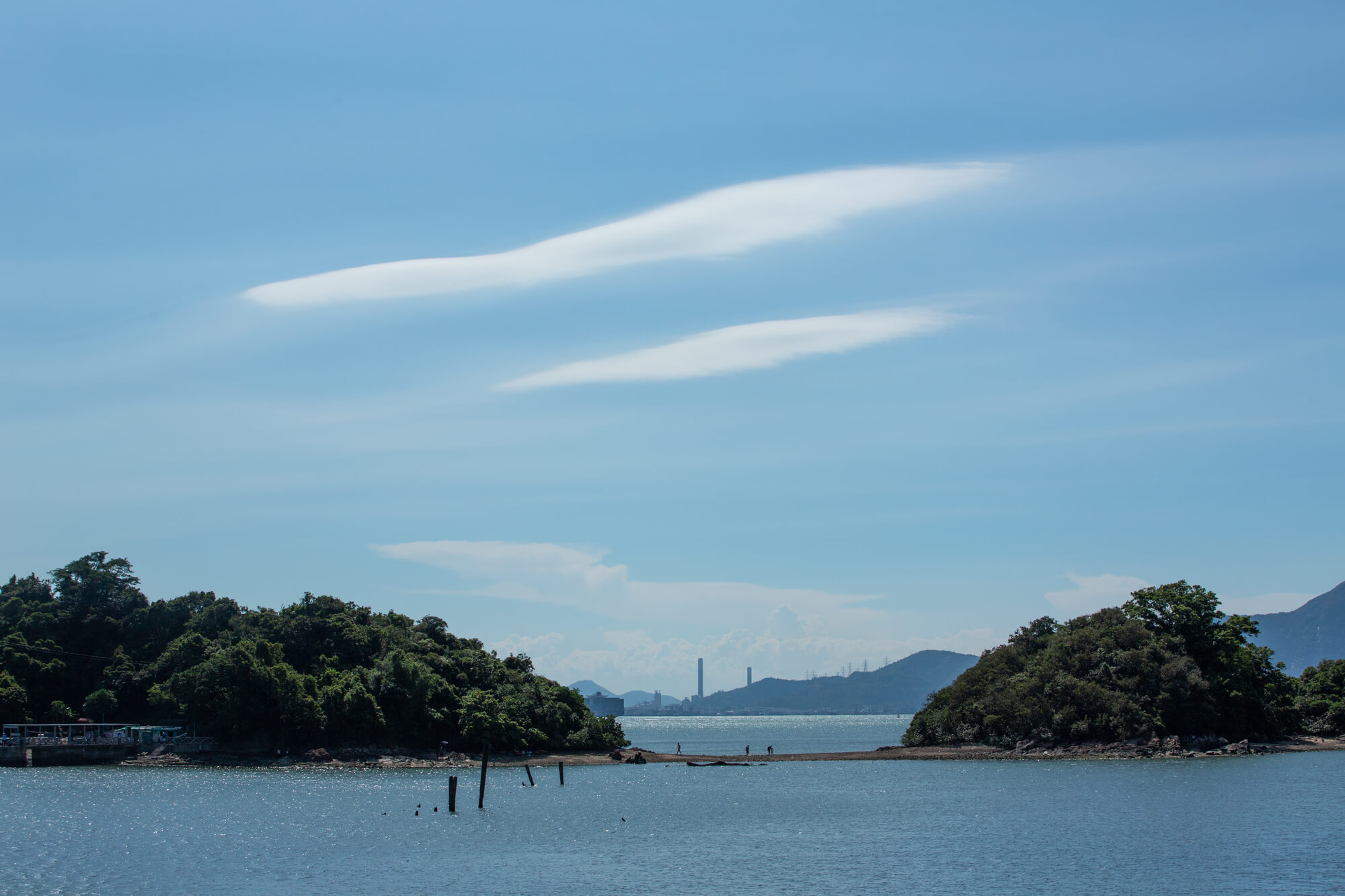 長索面積細小