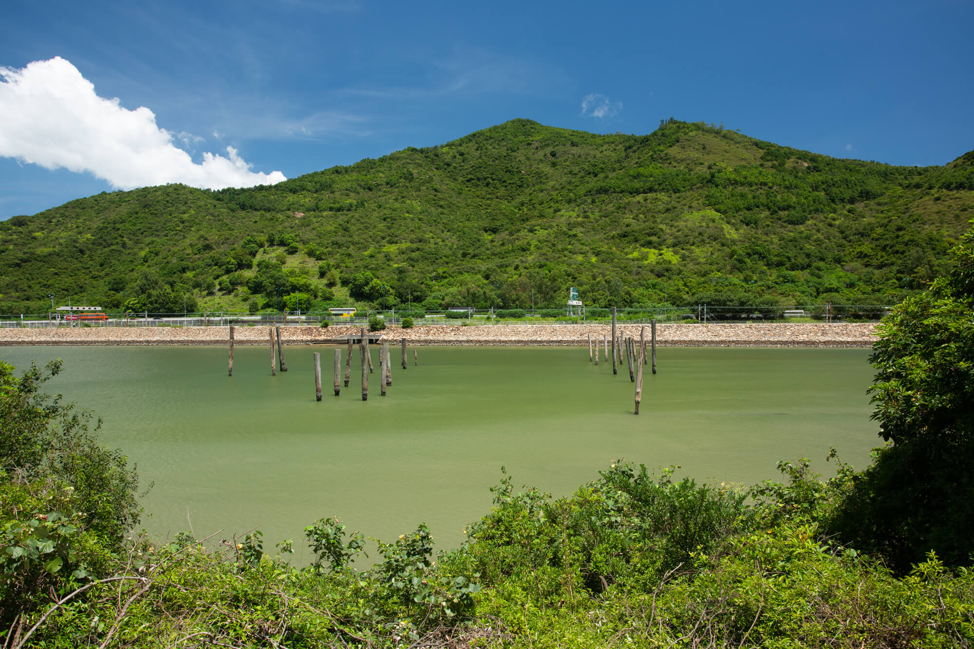 陰澳灣