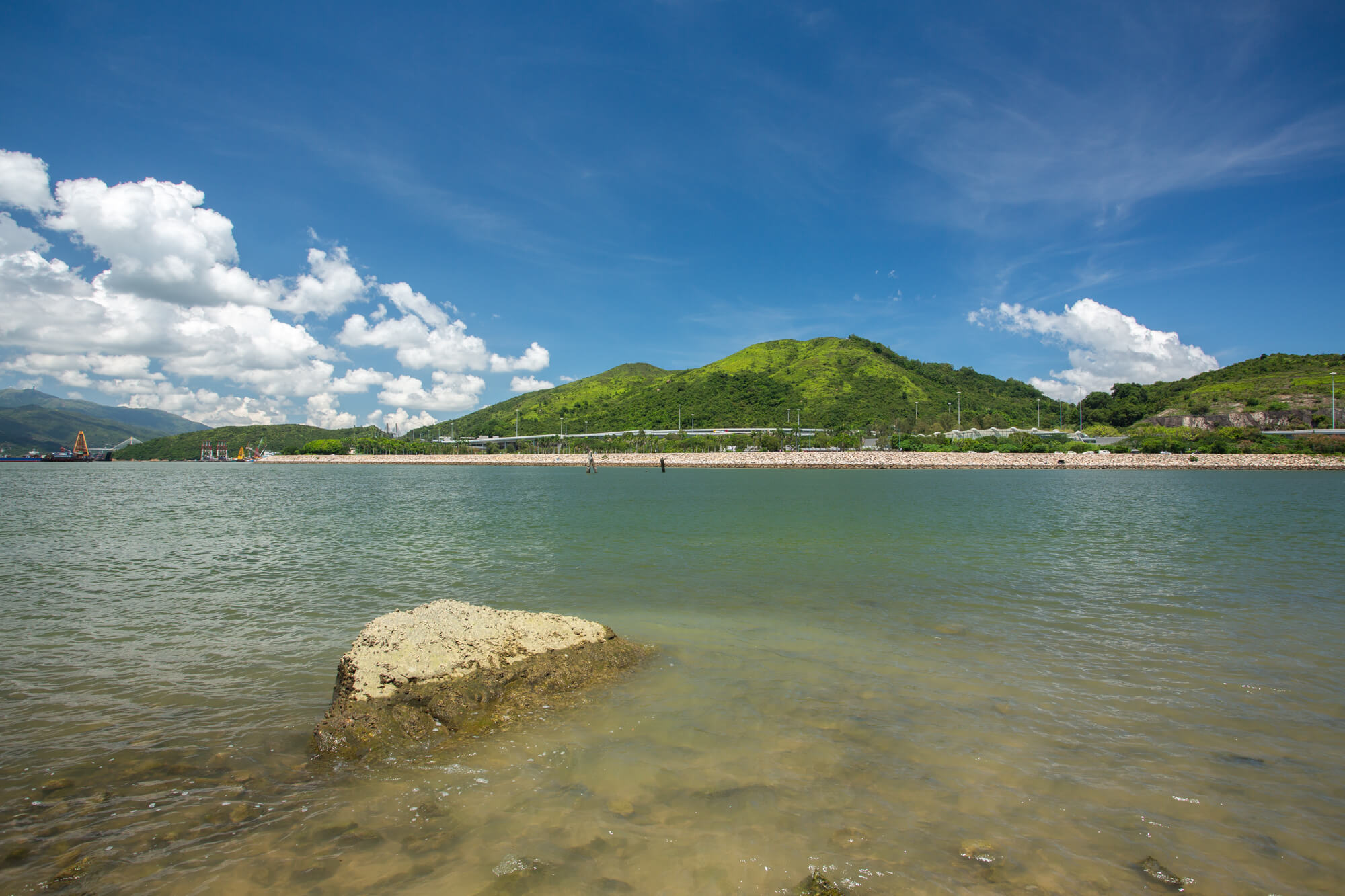 對岸山頭是大陰頂