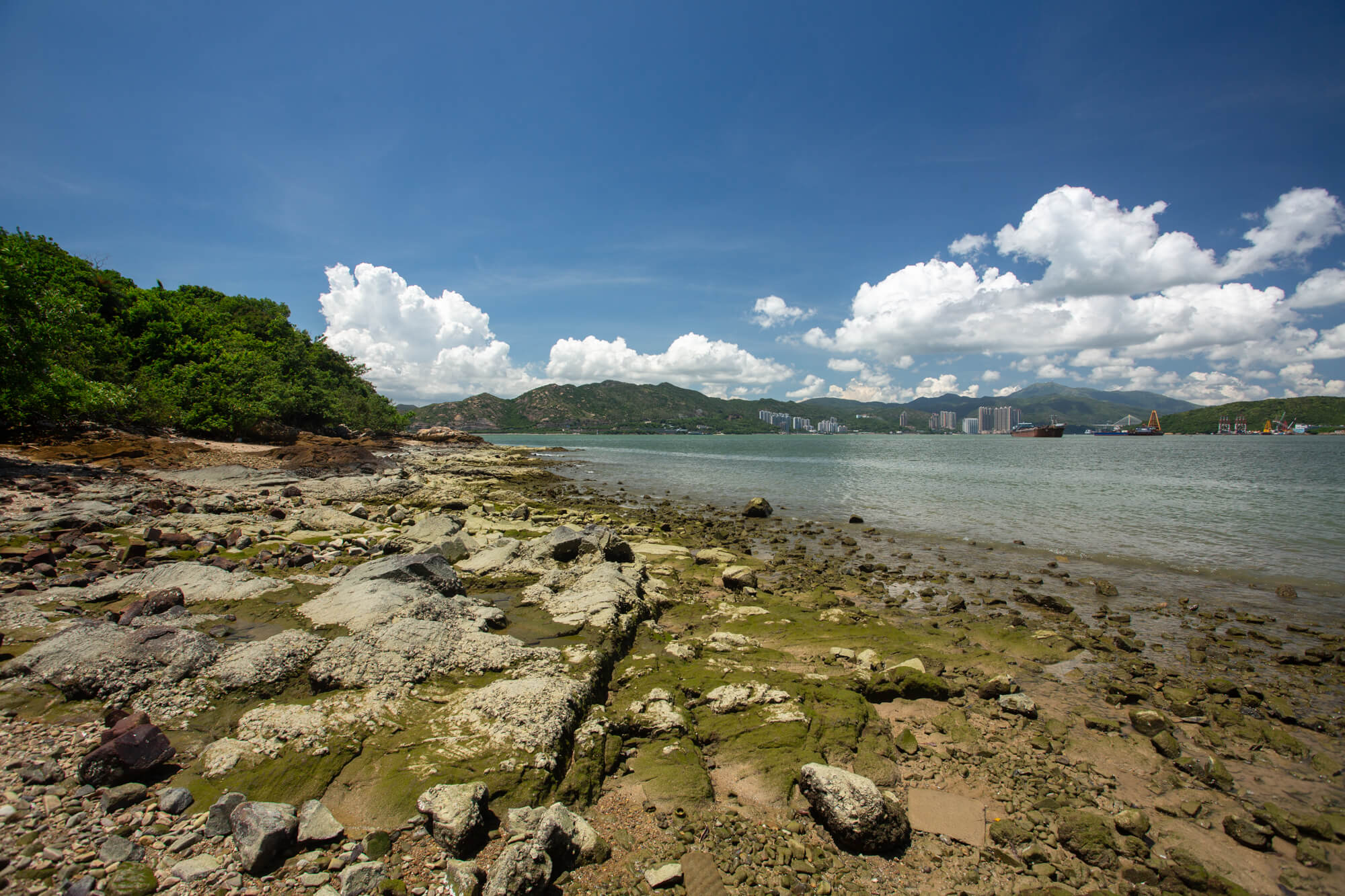 潮退下的海岸