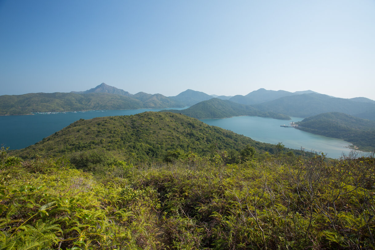 回望涌沙頂