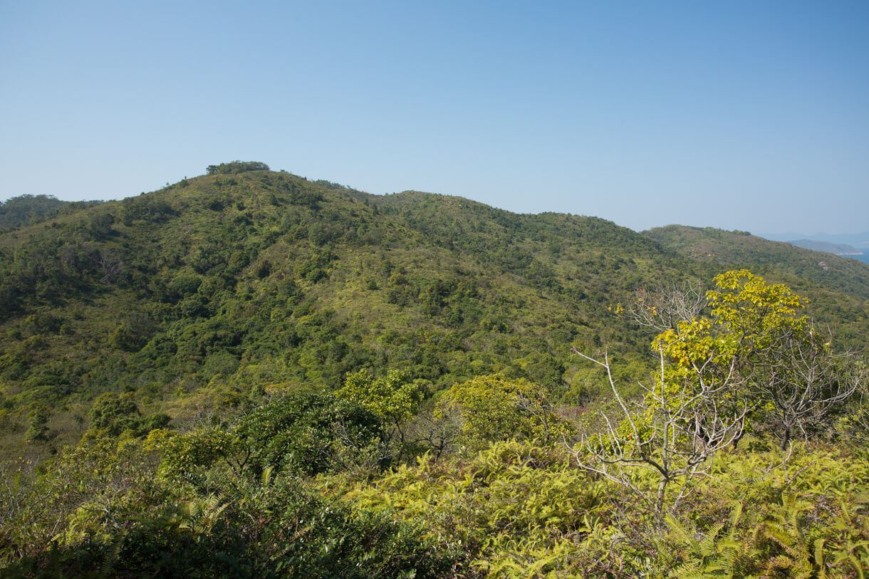 無名山崗