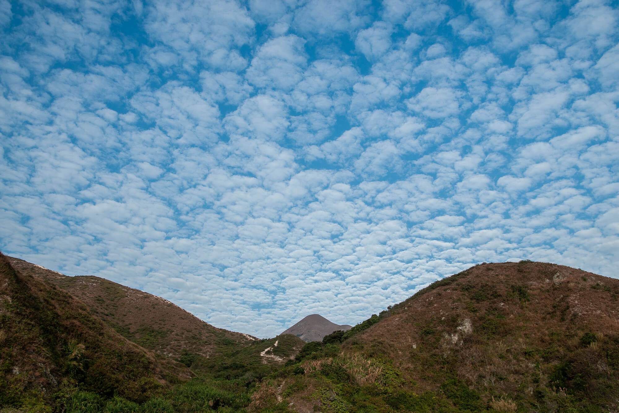 高積雲的大形雲塊均勻排列