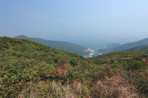 雲枕山上看大浪灣