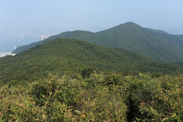 砵甸乍山