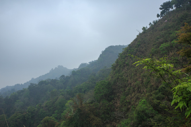 回望頭嵙山