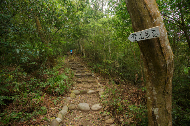 路徑清晰