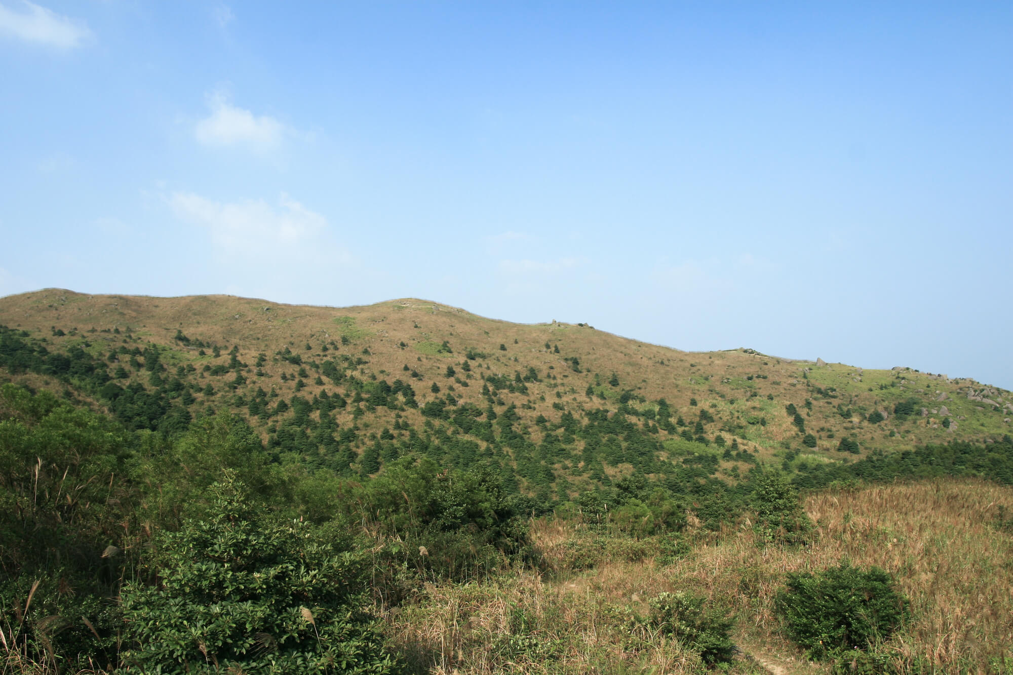 大帽山